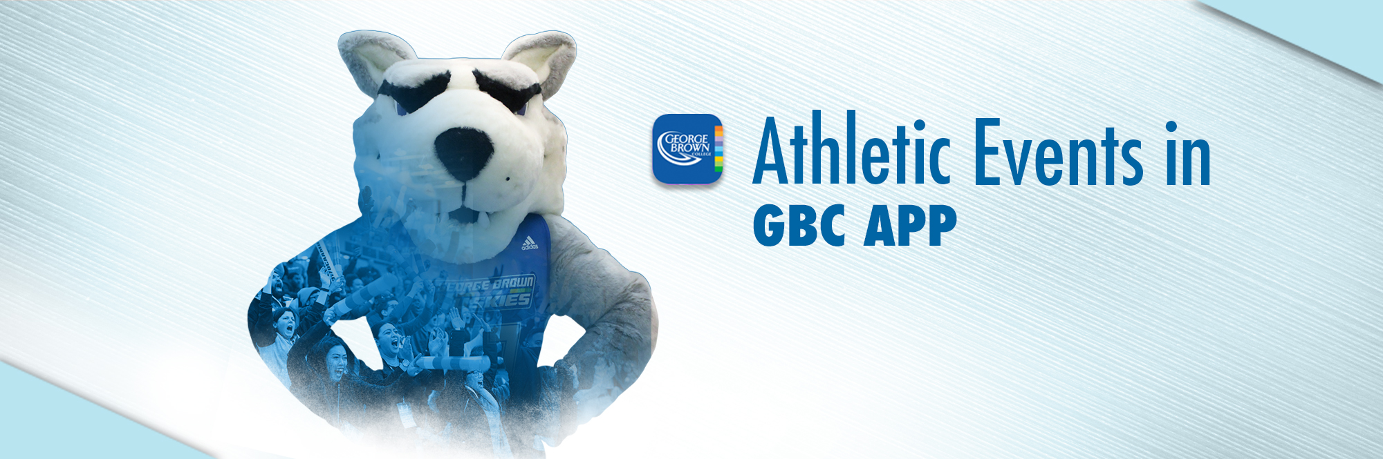 CONNECT WITH HUSKIES ATHLETICS IN THE GBC APP