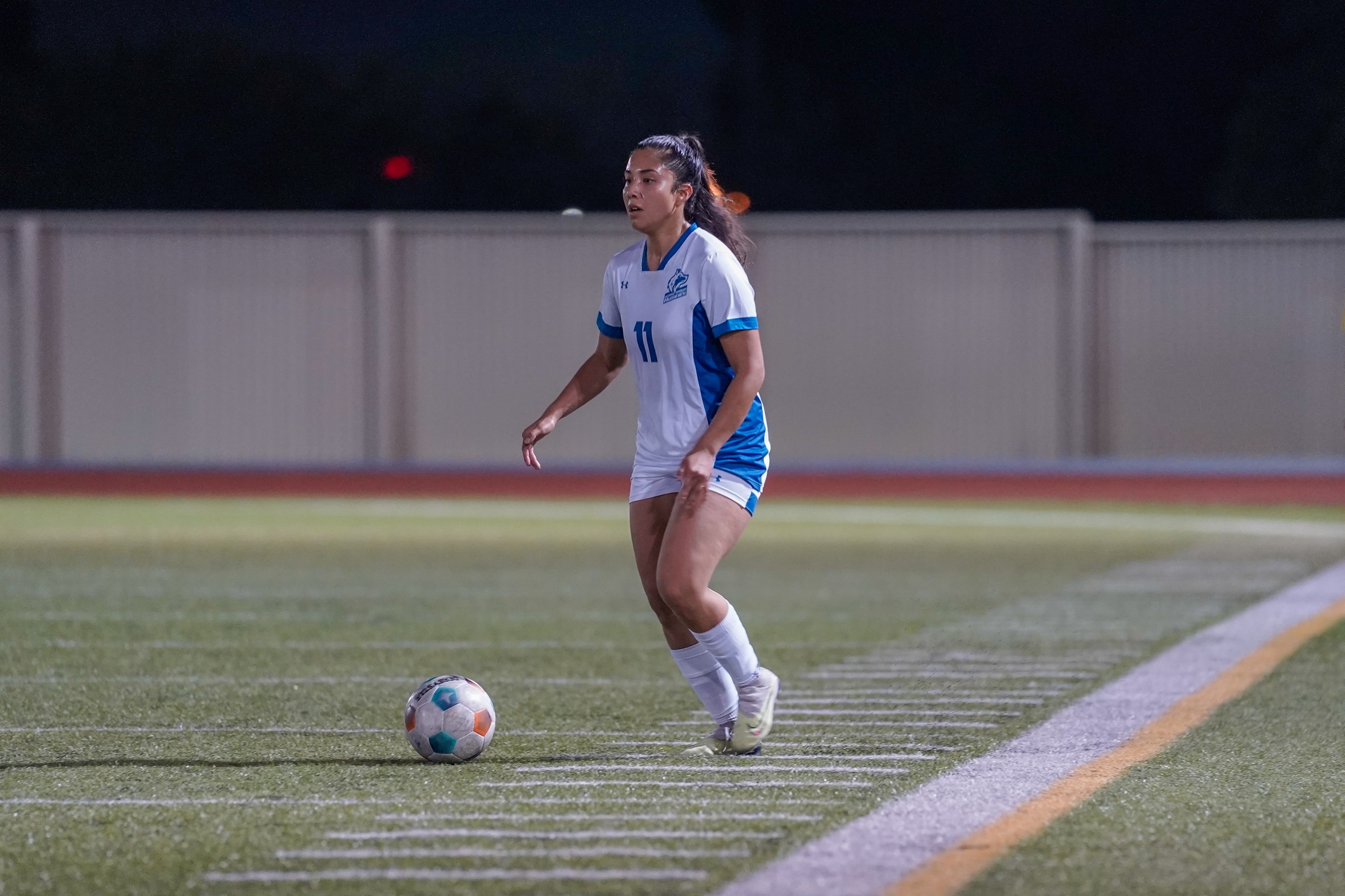 HUSKIE FALL TO CAMBRIAN