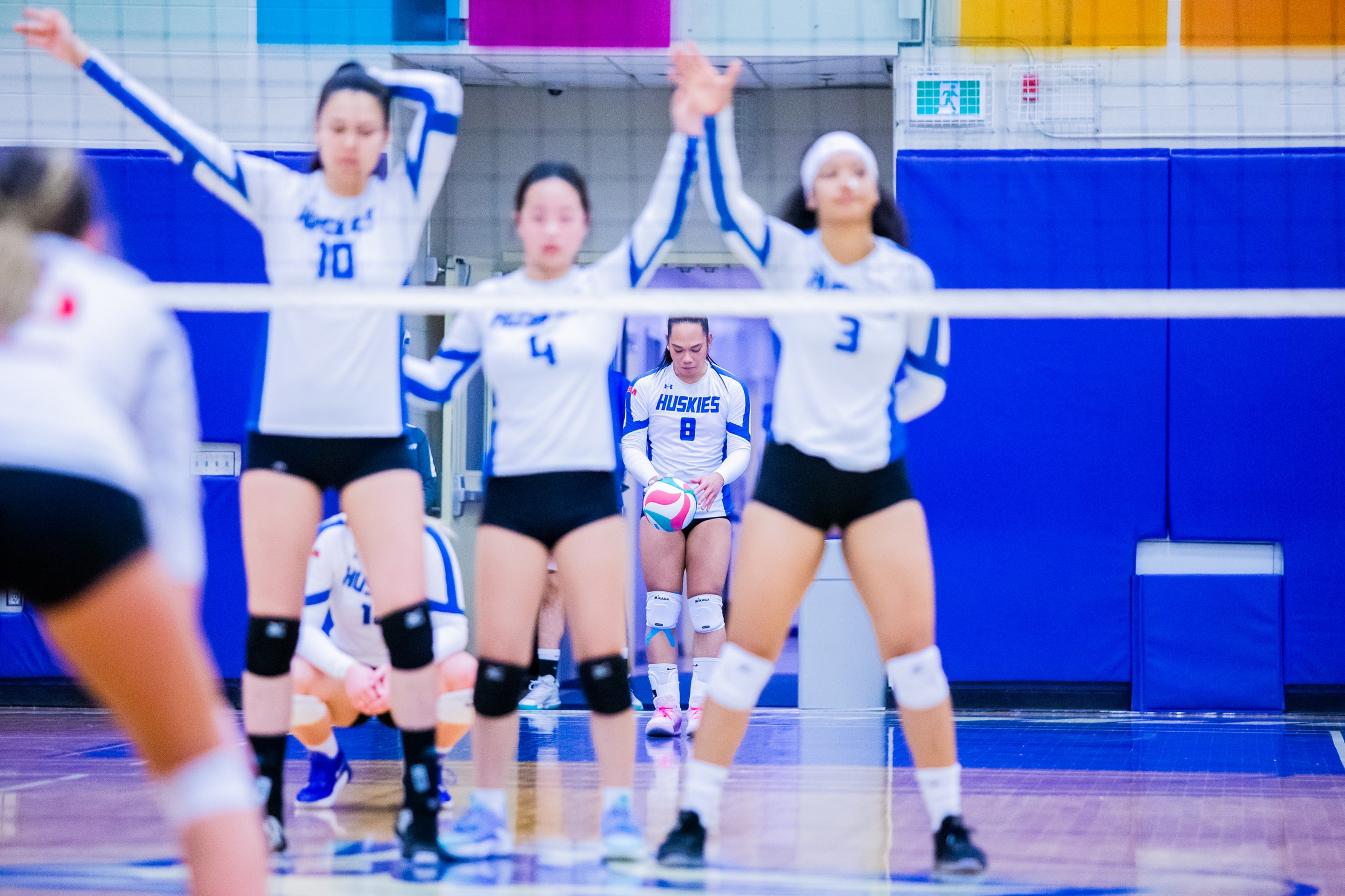 WOMEN'S VOLLEYBALL TAKE DOWN THE STING